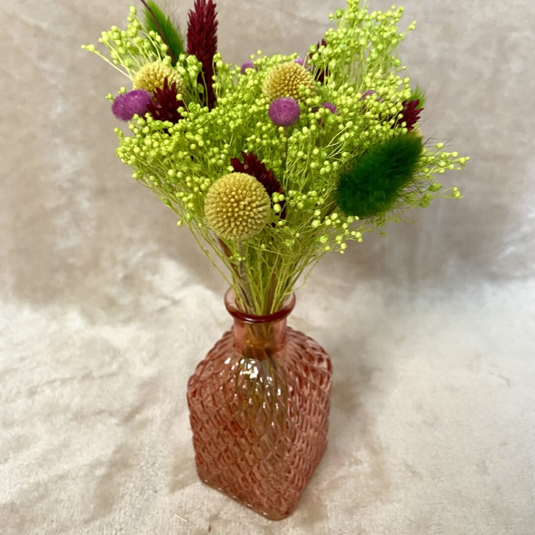Ensemble Kiwi Myrtille